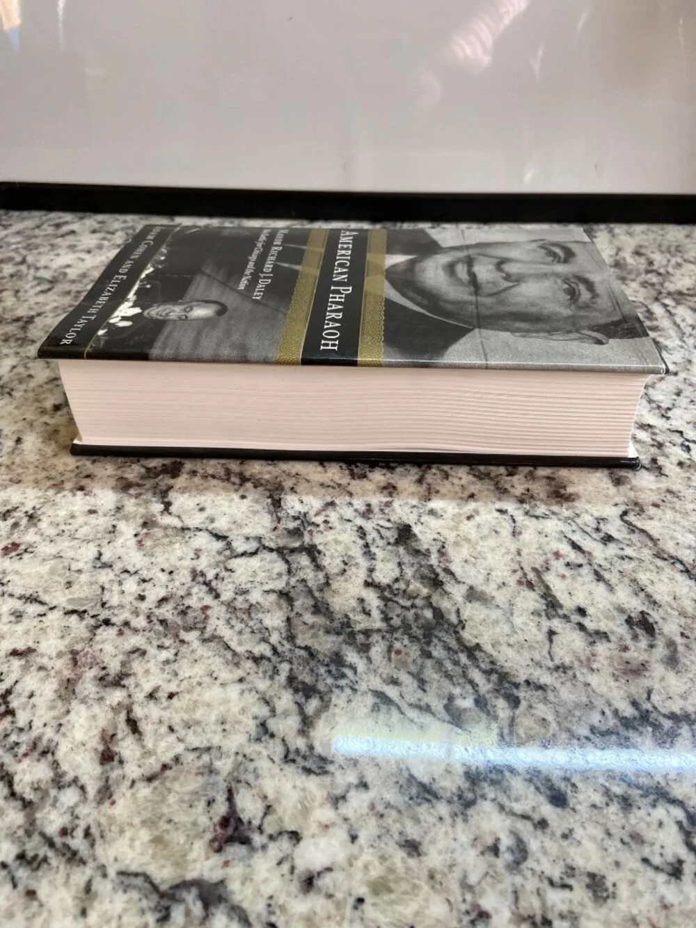 American Pharaoh Richard J Daley Chicago 2000 1st Edition HC DJ Cohen Taylor